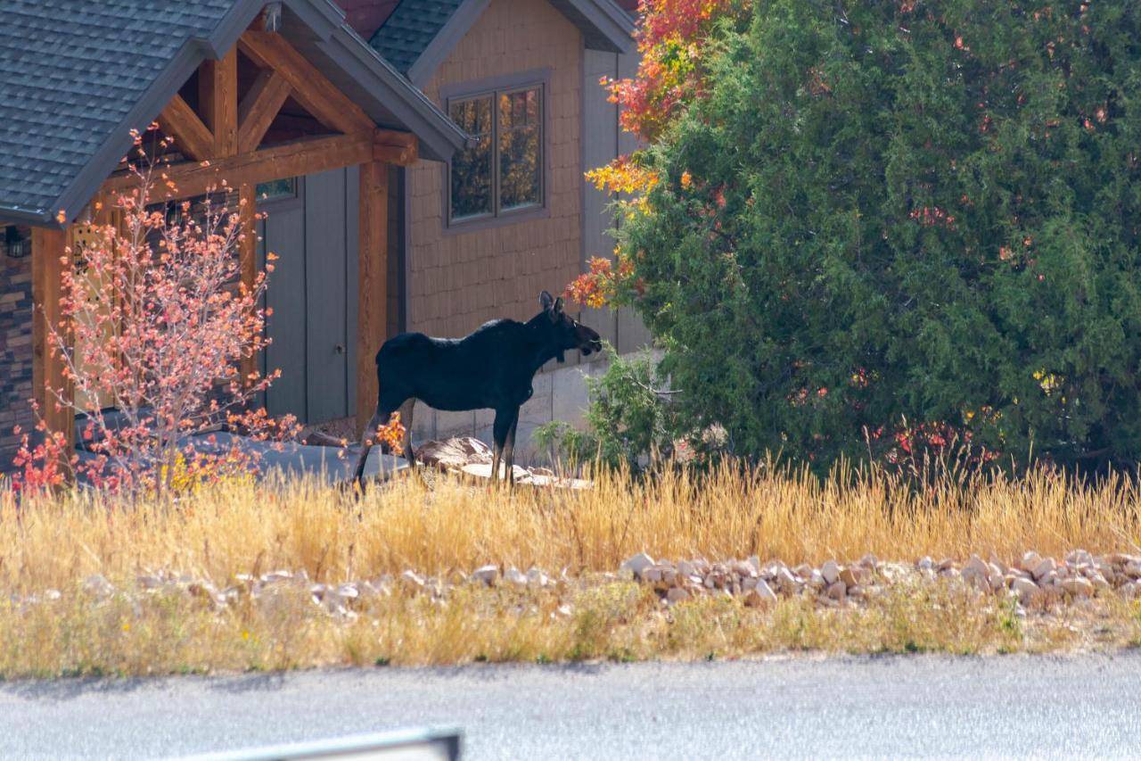 Bear Country Cabin #2 Hotel Saint Charles Exterior photo